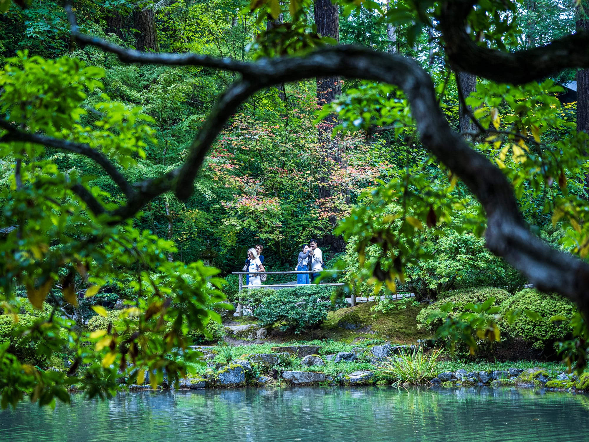 Two couples stand on a wooden bridge. They are framed by a pond and a curved branch in the foreground. They are surrounded by emerald green plants, which are reflected in the water. 
