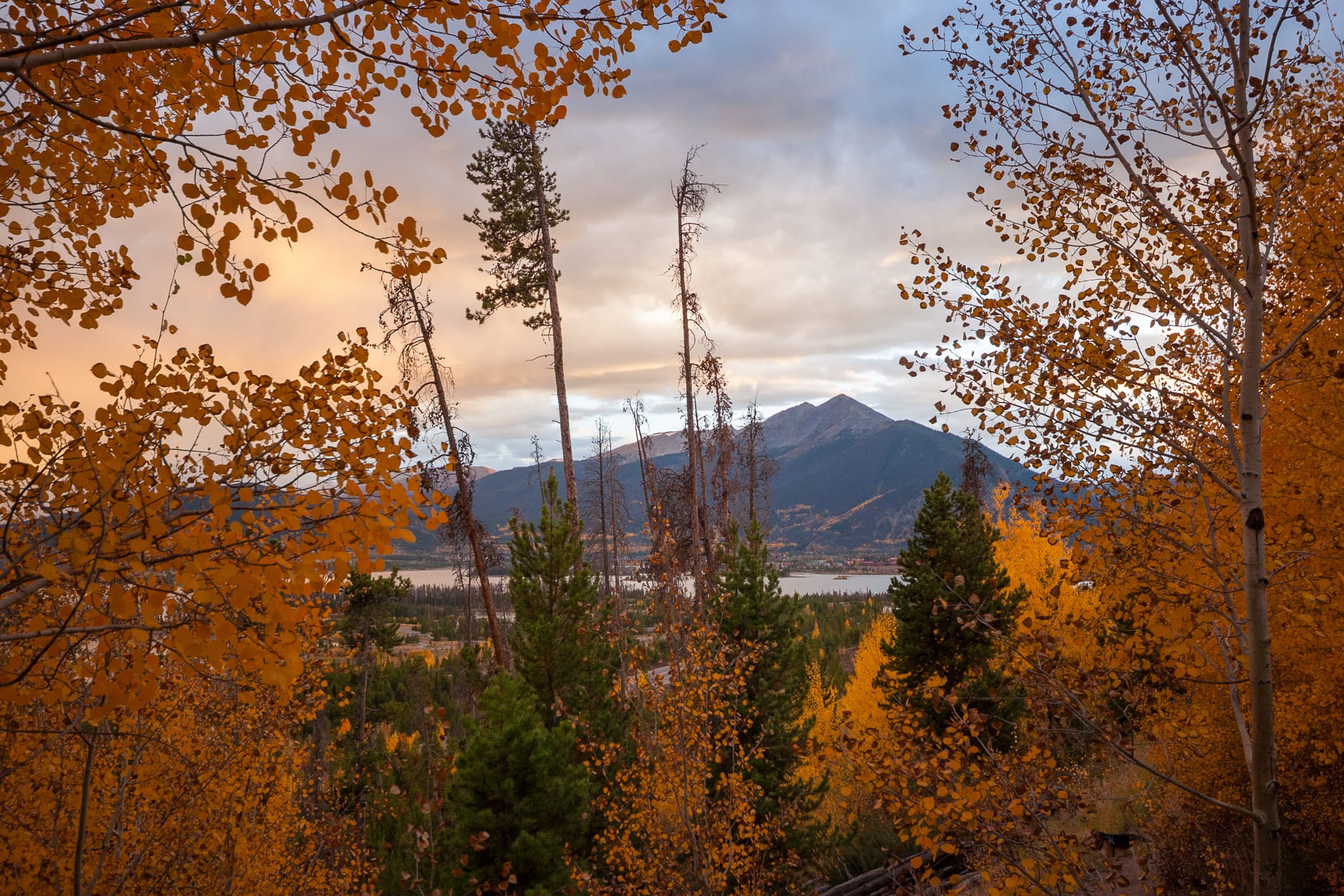 A mountain with two peaks is framed by orange aspen leaves at sunset.
