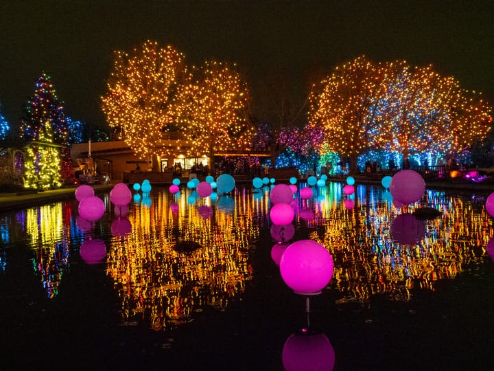 Colorful lights sit on a pond in a dark scene. The lights are reflected back in the water in a mirror image. 